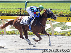 カラープリント(アルミ枠付き)2018年6月3日東京1R 3歳未勝利(メタルカラー)