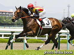 カラーパネル2018年6月9日阪神5R 2歳新馬(アウィルアウェイ)