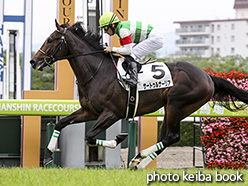 カラーパネル2018年6月10日阪神5R 2歳新馬(サートゥルナーリア)
