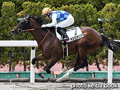 カラーパネル2018年6月16日函館3R 3歳未勝利(キミワテンマ)