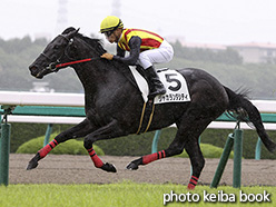 カラーパネル2018年6月23日阪神5R 2歳新馬(ジャカランダシティ)