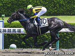 カラーパネル2018年6月24日阪神3R 3歳未勝利(ディキディキ)