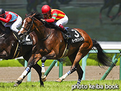 カラーパネル2018年6月24日阪神8R 出石特別(モーヴサファイア)