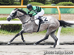 カラープリント(アルミ枠付き)2018年7月21日函館2R 3歳未勝利(エトワールドパリ)