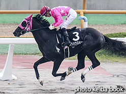 カラープリント(アルミ枠なし)2018年7月21日函館12R 駒場特別(ツクバクロオー)