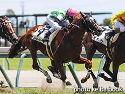 カラープリント(アルミ枠付き)2018年7月22日中京5R 2歳新馬(ソルトホープ)