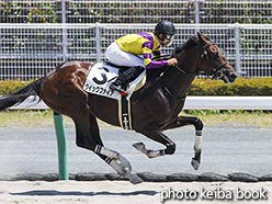 カラープリント(アルミ枠なし)2018年7月22日中京6R 3歳未勝利(クイックファイア)