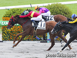 カラーパネル2018年7月22日福島4R 3歳未勝利(ゴールドパッション)