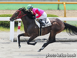 カラーパネル2018年7月22日函館6R 3歳上500万下(キタノユーリン)