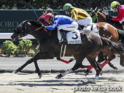 カラーパネル2018年7月28日札幌2R 3歳未勝利(タイセイパルフェ)