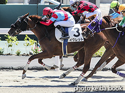 カラープリント(アルミ枠付き)2018年7月28日札幌3R 3歳未勝利(イグレット)