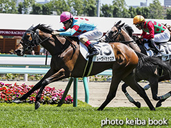 カラープリント(アルミ枠なし)2018年7月28日札幌5R 2歳新馬(レーヴドカナロア)