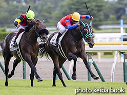 カラーパネル2018年8月18日新潟1R 2歳未勝利(ミチビキ)