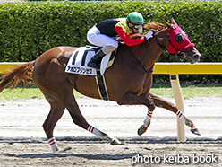 カラープリント(アルミ枠付き)2018年8月18日新潟3R 3歳未勝利(アポロプリンセス)