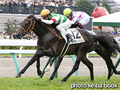 カラーパネル2018年8月19日札幌5R 2歳新馬(カウディーリョ)