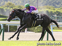 カラーパネル2018年8月25日小倉9R ひまわり賞(カシノティーダ)