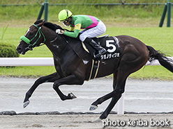 カラープリント(アルミ枠なし)2018年8月25日小倉11R 釜山ステークス(タガノディグオ)