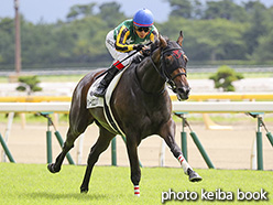 カラープリント(アルミ枠なし)2018年8月25日新潟1R 2歳未勝利(クィーンユニバンス)