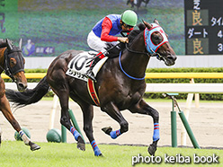 カラーパネル2018年8月25日新潟4R 障害未勝利(リノリオ)