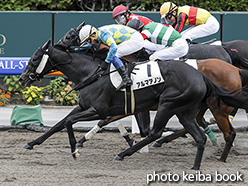 カラープリント(アルミ枠なし)2018年8月26日札幌2R 3歳未勝利(アルマアノン)