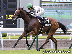 カラープリント(アルミ枠なし)2018年9月1日小倉10R 玄海特別(チカノワール)