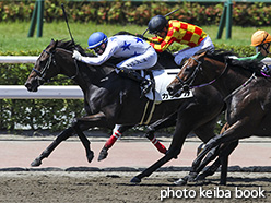 カラーパネル2018年9月2日小倉4R 3歳未勝利(カリンカ)