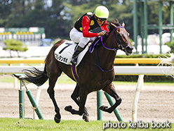 カラープリント(アルミ枠付き)2018年9月2日新潟4R 障害未勝利(スミレタンポポ)