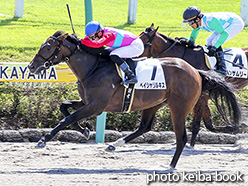 カラープリント(アルミ枠付き)2018年9月23日中山1R 2歳未勝利(ペイシャリルキス)