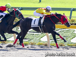 カラープリント(アルミ枠付き)2018年10月7日東京1R 2歳未勝利(オリオンパッチ)