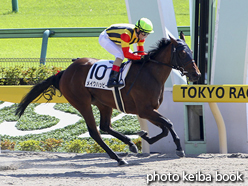 カラーパネル2018年10月7日東京4R 2歳新馬(メイクハッピー)