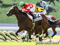 カラーパネル2018年10月8日京都3R 2歳新馬(レッドベレーザ)