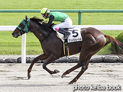 カラーパネル2018年10月13日京都8R 3歳上500万下(クリノピョートル)