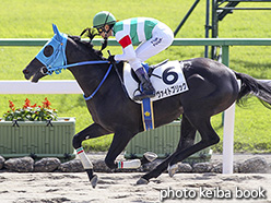 カラープリント(アルミ枠なし)2018年10月14日京都3R 2歳新馬(ヴァイトブリック)