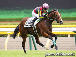 カラーパネル2018年10月14日東京3R 2歳新馬(フォークテイル)