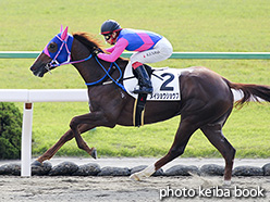 カラーパネル2018年10月27日京都1R 2歳未勝利(メイショウショウブ)