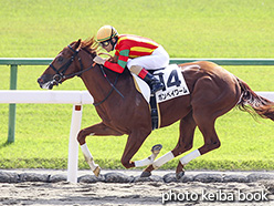 カラーパネル2018年10月27日京都4R 2歳新馬(ポンペイワーム)