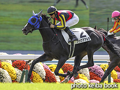 カラーパネル2018年10月27日京都5R 2歳新馬(アックアアルタ)