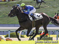 カラープリント(アルミ枠なし)2018年10月28日京都5R 2歳新馬(メトロポール)