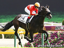 カラープリント(アルミ枠付き)2018年10月28日東京5R 2歳新馬(ルヴォルグ)