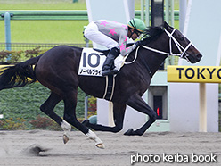 カラーパネル2018年11月4日東京4R 2歳新馬(ノーベルプライズ)