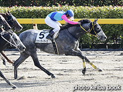 カラーパネル2018年11月10日東京7R 3歳上500万下(ウォーターマーズ)