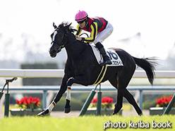 カラーパネル2018年11月11日京都4R 2歳新馬(フィブロライト)