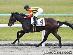 カラープリント(アルミ枠付き)2018年11月17日京都6R 2歳新馬(モンペルデュ)