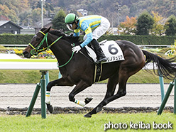 カラーパネル2018年11月17日福島5R 2歳新馬(マリノジュリア)