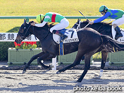 カラープリント(アルミ枠付き)2018年11月18日京都1R 2歳未勝利(デンコウハピネス)