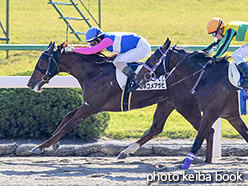 カラーパネル2018年11月18日京都2R 2歳未勝利(カネコメアサヒ)