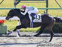 カラープリント(アルミ枠付き)2018年11月18日京都4R 2歳未勝利(ブラックウォーリア)