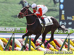 カラーパネル2018年11月18日京都5R 2歳新馬(カフジジュピター)