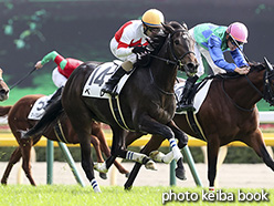 カラーパネル2018年11月18日東京4R 2歳未勝利(ペレ)