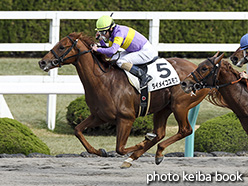 カラーパネル2018年12月1日阪神2R 2歳未勝利(ダイメイコスモス)